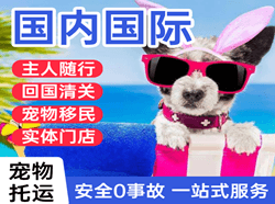 济南机场货运国际宠物托运 【国